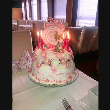 Aragia 4*